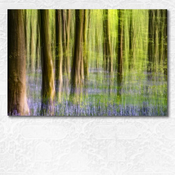 Impressions of beech trees and bluebells of West Woods