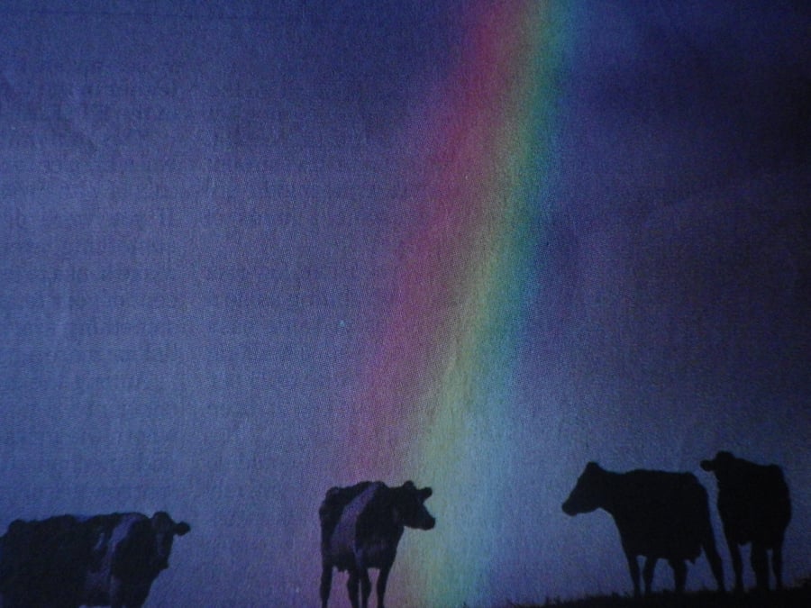 The  Chosen One, A4 unframed, mounted , free hook & easel free shipping, 4004