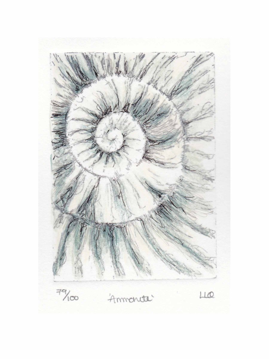 Etching no.79 of an ammonite fossil with mixed media in an edition of 100