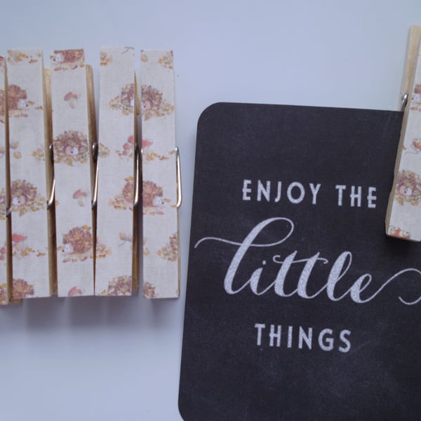 Tilly Daydream Hedgehog Magnetic Pegs fridge magnets peg