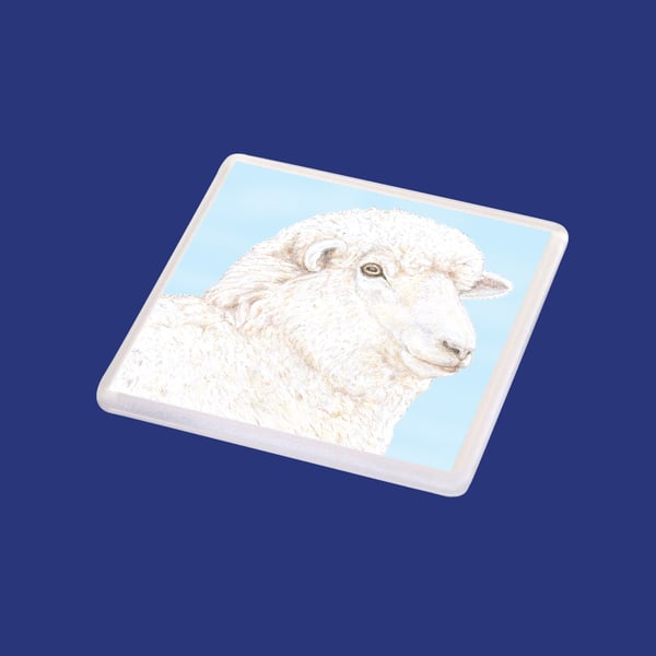 Woolly Sheep - Coaster