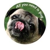 Pug de Probleme