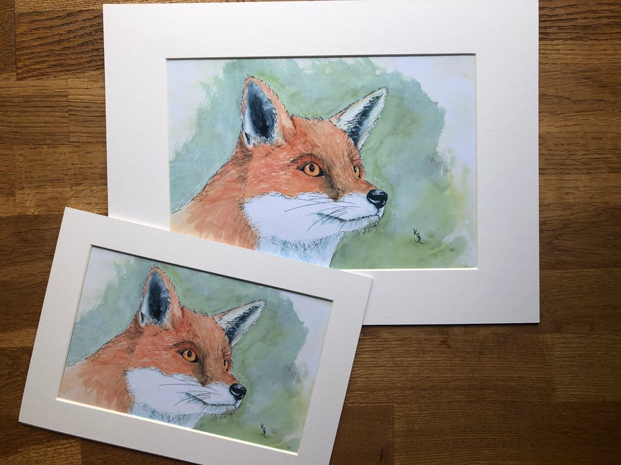 A4 or A3 mounted print of Freathy Fox from my original watercolour 