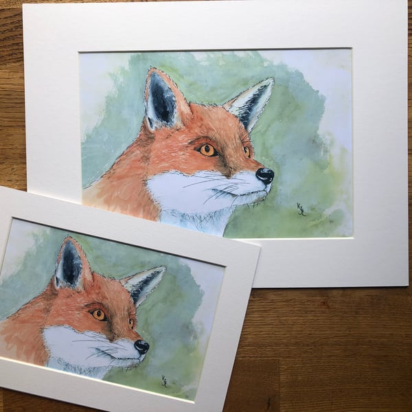 A4 or A3 mounted print of Freathy Fox from my original watercolour 