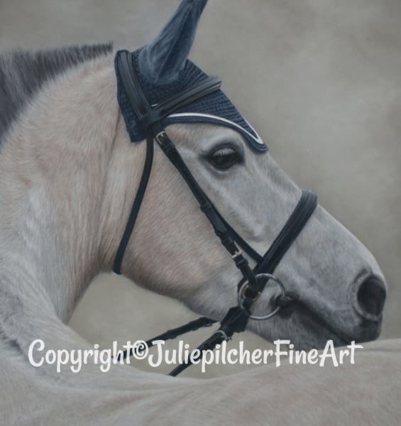 Horse Painting, Equestrian Original Pastel Portrait Artwork 31 x 41cm