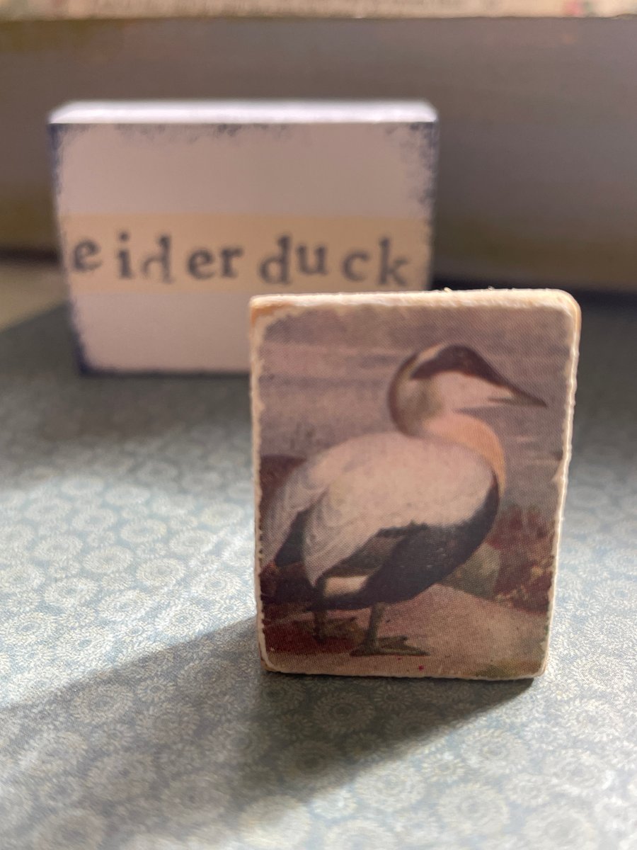 Eider Duck - Wooden Bird Block Brooch