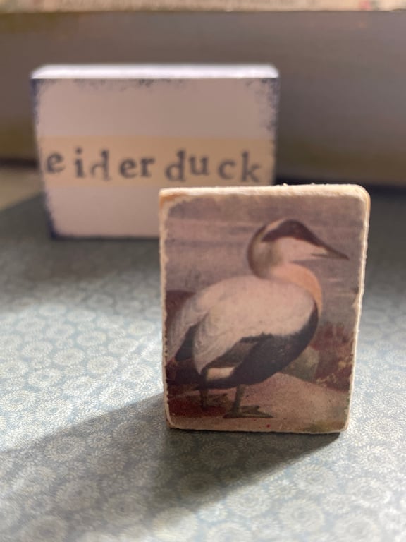 Eider Duck - Wooden Bird Block Brooch