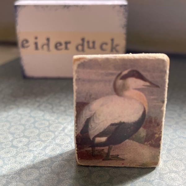 Eider Duck - Wooden Bird Block Brooch