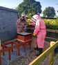 A4 Signed Art Print Busy Bees - Image 6