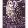 Barn Owl A3 poster print