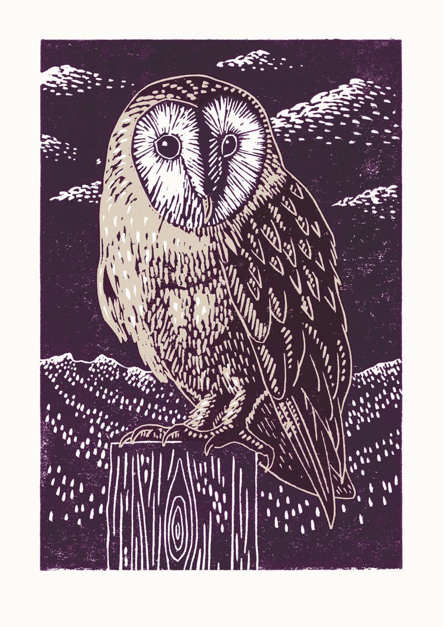 Barn Owl A3 poster print
