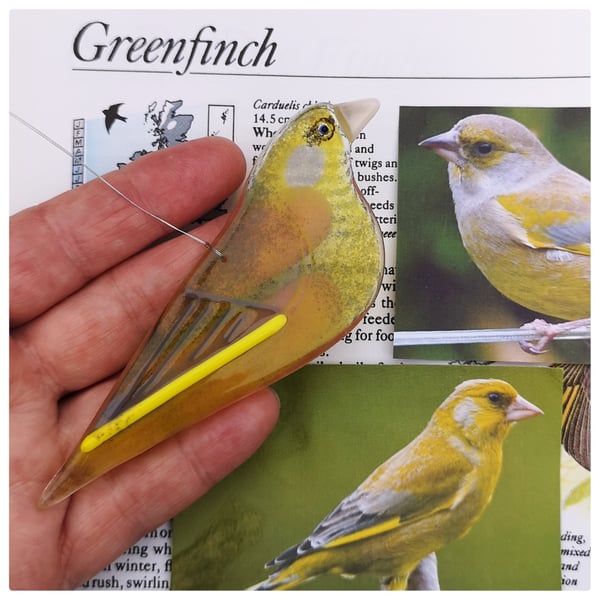 One fused glass greenfinch, British garden bird