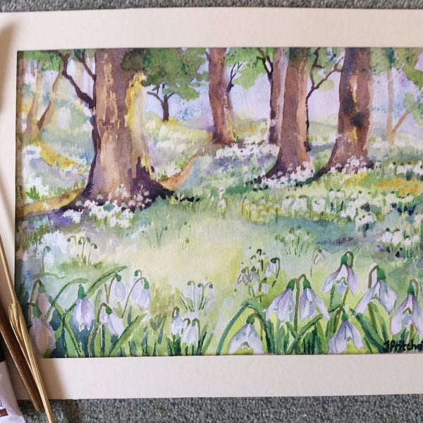 Original watercolour painting of Snowdrop wood