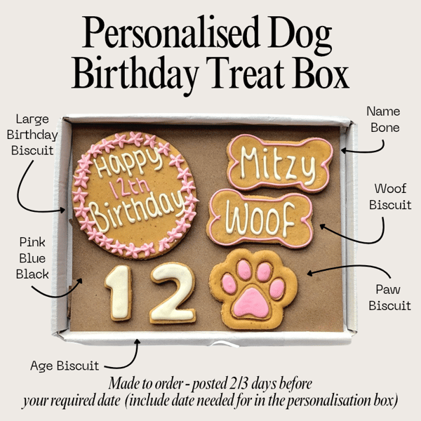 Personalised Dog Birthday treat box, Homemade iced biscuits 