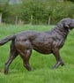 Labrador Playing with Toy Dog Statue Large Bronze Resin Garden Sculpture - Image 6