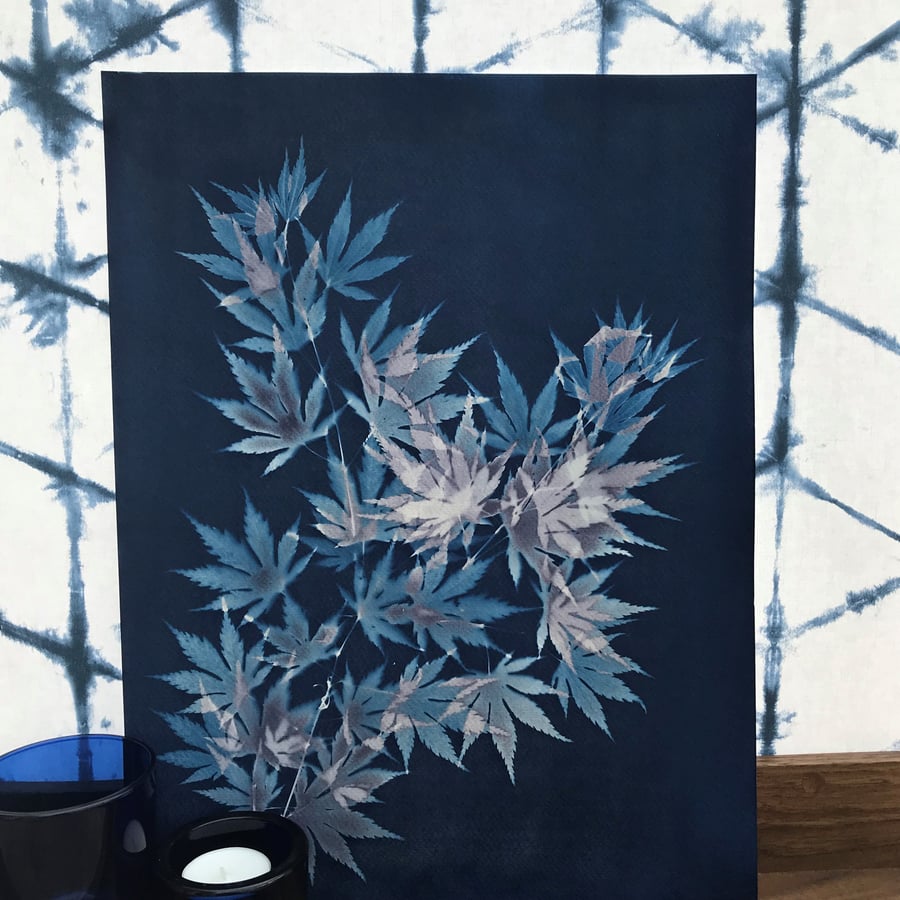 Original Cyanotype Photogram of Acer leaves - called Quing