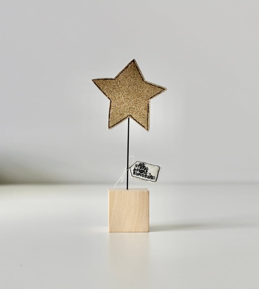 Special Order for Maxine - Star with a Wire Stem and Wooden Block