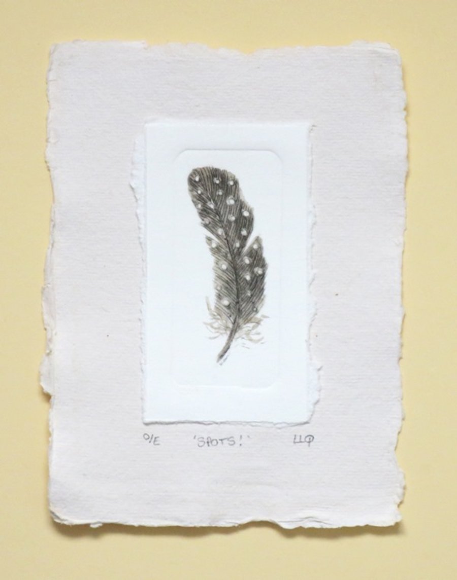 Guinea fowl feather spotty feather in sepia an original drypoint print miniature