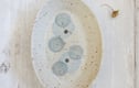 Soap dishes