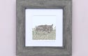 5" x 5" Framed Prints