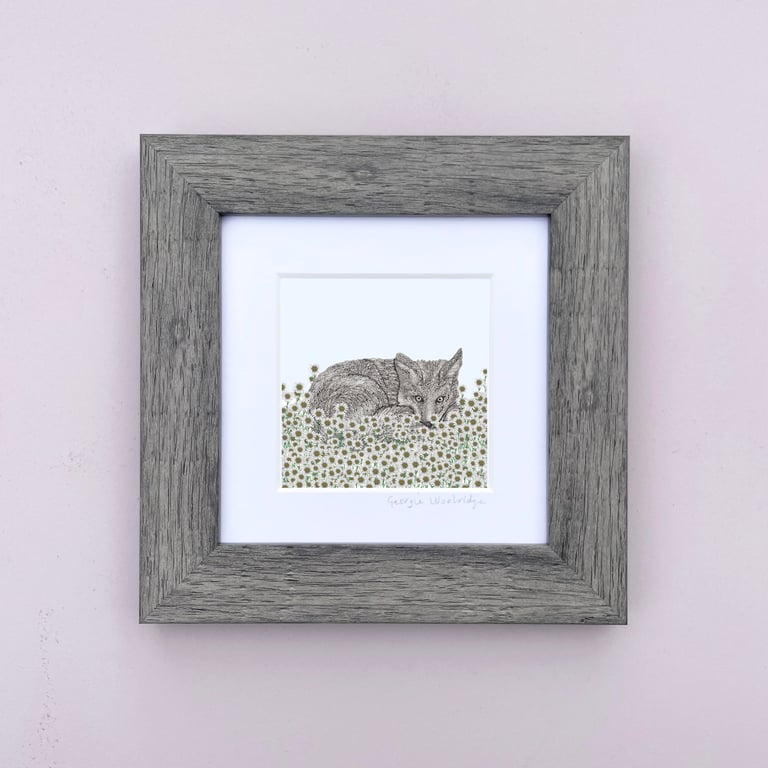 'Amongst the Daisies' 5" x 5" Framed Print