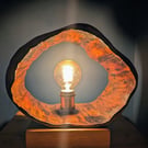 Apple tree trunk table lamp