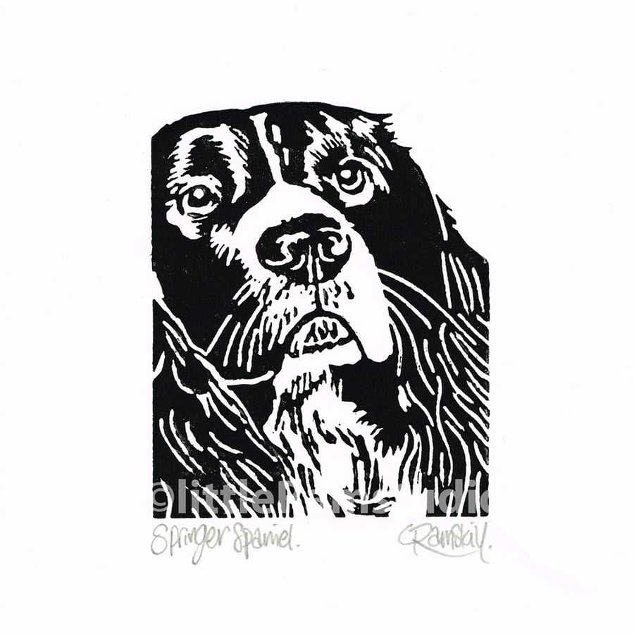Springer Spaniel Dog - Original Hand Pulled Linocut Print