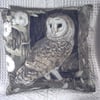 Beautiful Barn owl in barn window cushion ( very rare)