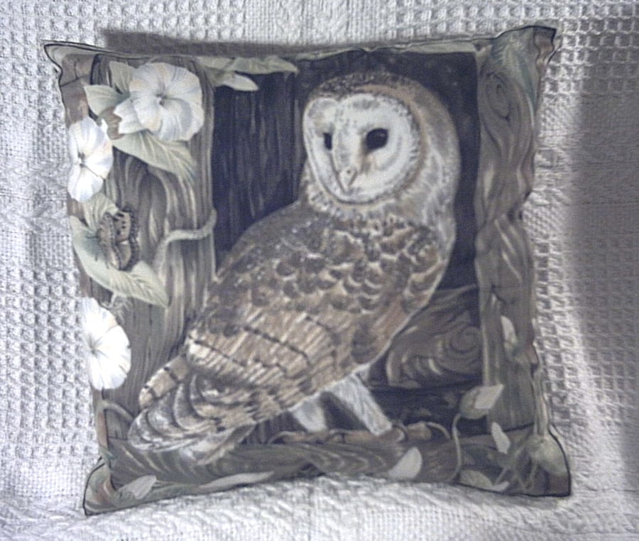 Beautiful Barn owl in barn window cushion ( very rare)