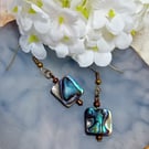 Abalone & Bronze Earrings