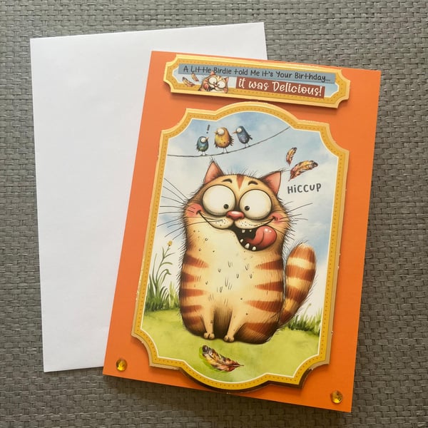 humourous cat birthday card