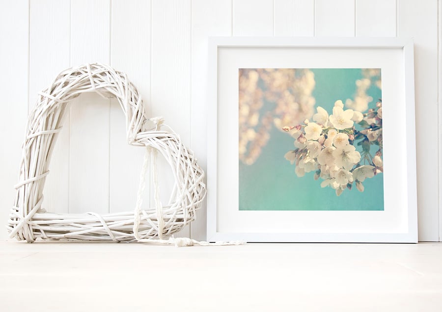 Blossom photograph, spring blossom print, turquoise cream wall art 