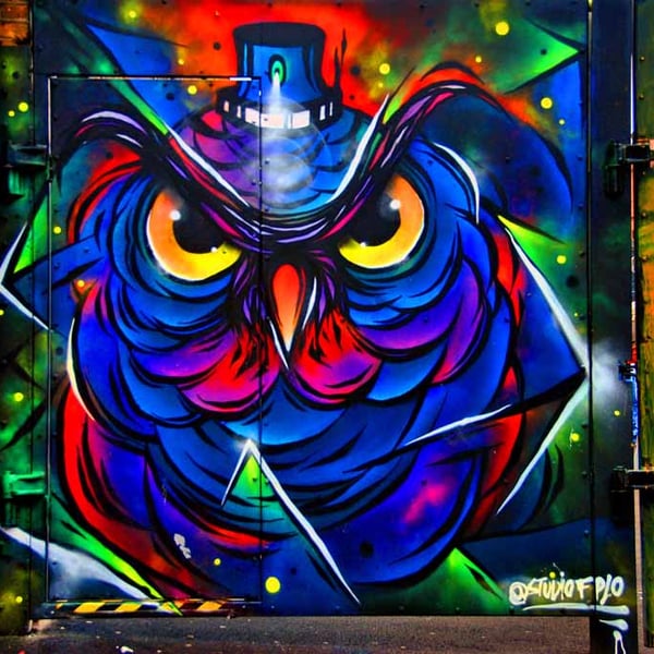 Owl Graffiti Street Art Camden London Photograph Print