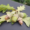 Tiny Glass Acorn Stitch Marker