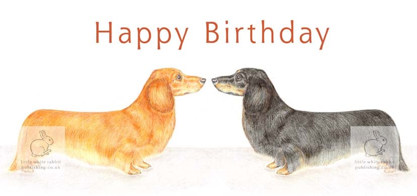 Duke and Duchess the Dachshunds - Birthday Card