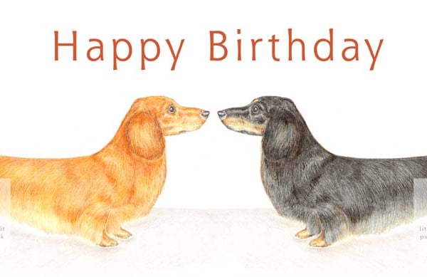 Duke and Duchess the Dachshunds - Birthday Card