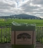 Woodland Forest Cold Process Soap — Natural Handmade Soap - Image 2