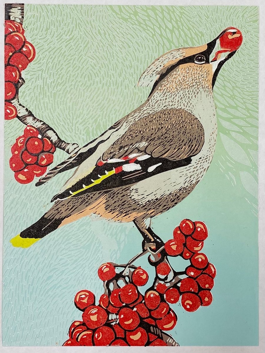 Waxwing and Rowan berries I - Handmade Limited Edition Lino Print - 
