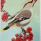 Waxwing and Rowan berries I - Handmade Limited Edition Lino Print - 