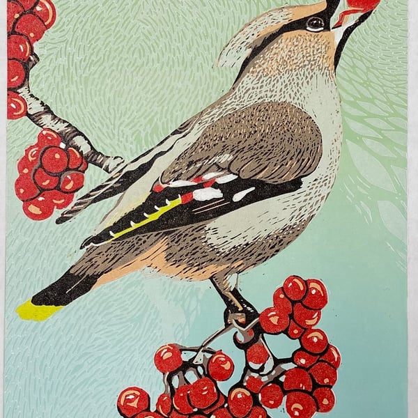 Waxwing and Rowan berries I - Handmade Limited Edition Lino Print - 