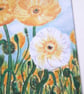 Californian Poppies Original coloured pen drawing.   - Image 6