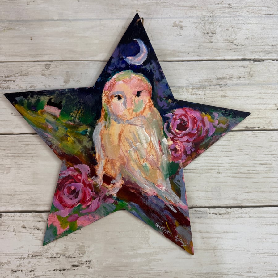 Barn Owl, Owl, Bird, Bird of Prey, Nocturnal Animal 