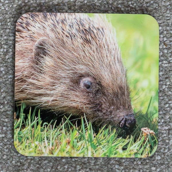 Hedgehog Heat Resistant Drinks Coaster