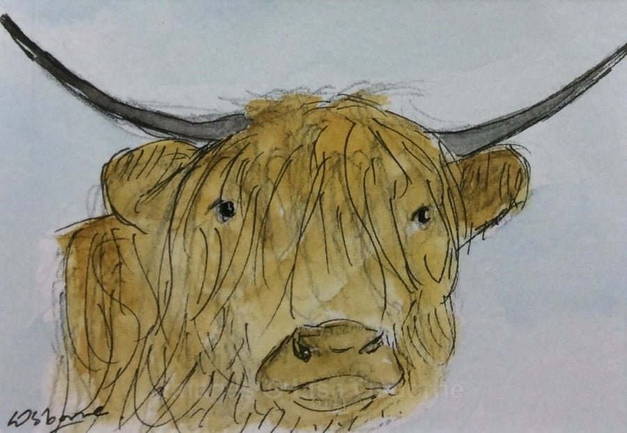 Highland cow - original pen, ink and watercolour. Miniature. Farm animals.