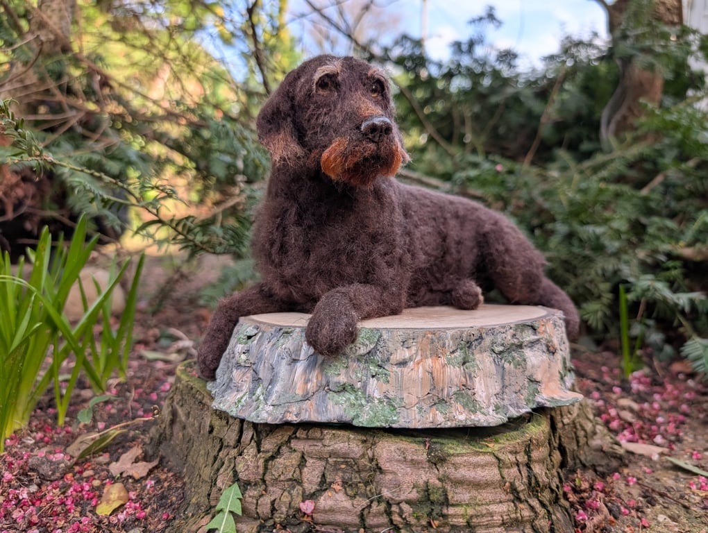 A customised needle felted model of your dog