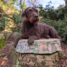 A customised needle felted model of your dog