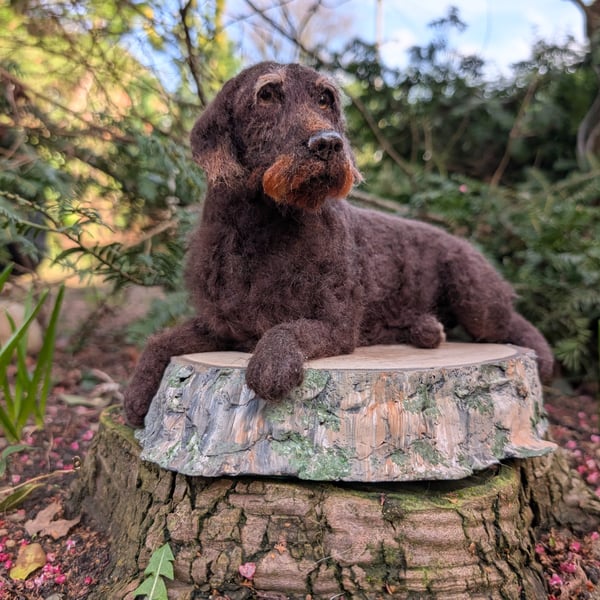 A customised needle felted model of your dog
