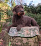 A customised needle felted model of your dog