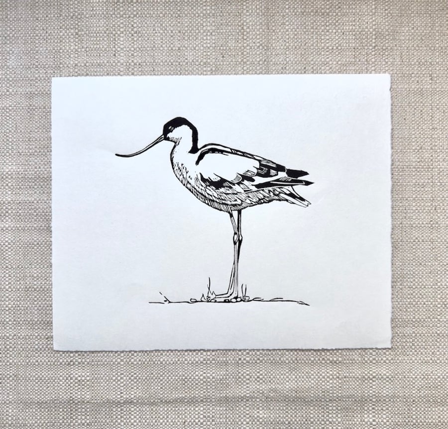 Avocet Linocut Print