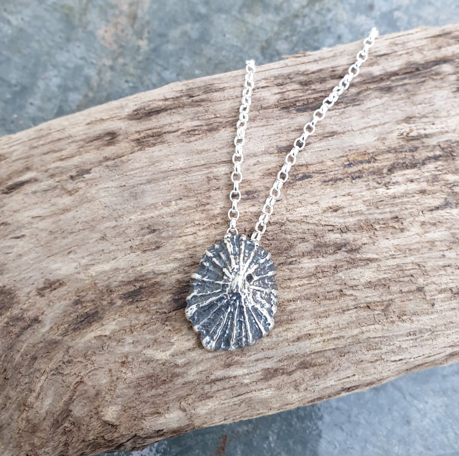 Silver limpet sea shell pendant